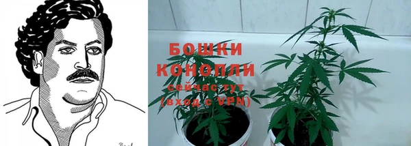 каннабис Аркадак